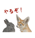 ほほえみフレンズ！ほのぼの仲良しな動物達（個別スタンプ：22）