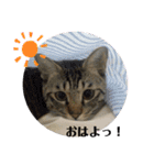 大好き！そら♡  2（個別スタンプ：11）