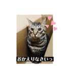 大好き！そら♡  2（個別スタンプ：12）
