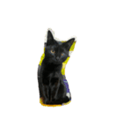 猫チャン時々鳥時々メガネ（個別スタンプ：4）