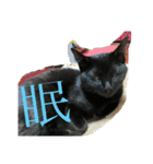 猫チャン時々鳥時々メガネ（個別スタンプ：11）