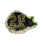 猫チャン時々鳥時々メガネ（個別スタンプ：17）