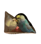 猫チャン時々鳥時々メガネ（個別スタンプ：22）