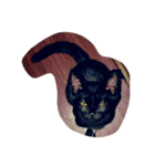 猫チャン時々鳥時々メガネ（個別スタンプ：23）