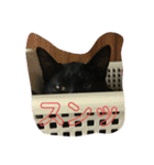 猫チャン時々鳥時々メガネ（個別スタンプ：24）