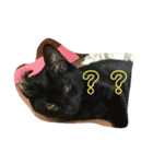猫チャン時々鳥時々メガネ（個別スタンプ：29）