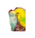 猫チャン時々鳥時々メガネ（個別スタンプ：30）