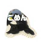 猫チャン時々鳥時々メガネ（個別スタンプ：34）