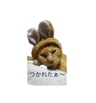 たいがぁーちゃん（個別スタンプ：3）