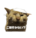 たいがぁーちゃん（個別スタンプ：9）