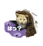 たいがぁーちゃん（個別スタンプ：10）