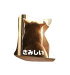 たいがぁーちゃん（個別スタンプ：13）