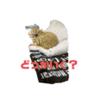 たいがぁーちゃん（個別スタンプ：14）