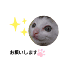Mr.nori スタンプ（個別スタンプ：2）