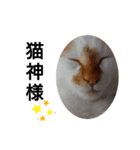 Mr.nori スタンプ（個別スタンプ：3）