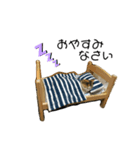 短足マンチカンのメル（個別スタンプ：1）