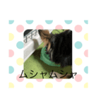 可愛い琥太郎シリーズ（個別スタンプ：6）