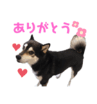 猿田こじろう（個別スタンプ：4）