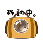 猫とぼく（個別スタンプ：13）