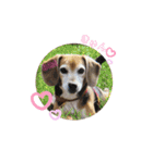 Bibiちゃんの日常❤︎stickers 1/19（個別スタンプ：4）