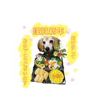 Bibiちゃんの日常❤︎stickers 1/19（個別スタンプ：7）