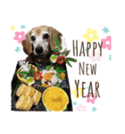 Bibiちゃんの日常❤︎stickers 1/19（個別スタンプ：8）