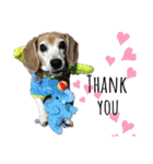 Bibiちゃんの日常❤︎stickers 1/19（個別スタンプ：14）