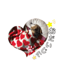 Bibiちゃんの日常❤︎stickers 1/19（個別スタンプ：28）