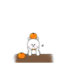 白ねことみかん。（個別スタンプ：5）
