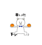 白ねことみかん。（個別スタンプ：20）