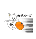 白ねことみかん。（個別スタンプ：28）