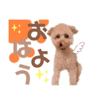 ノア②（個別スタンプ：1）