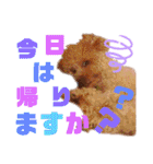 ノア②（個別スタンプ：4）