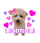 ノア②（個別スタンプ：5）