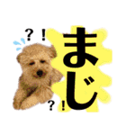 ノア②（個別スタンプ：6）