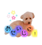 ノア②（個別スタンプ：7）