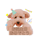 ノア②（個別スタンプ：11）