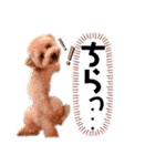 ノア②（個別スタンプ：18）
