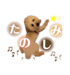 ノア②（個別スタンプ：20）