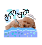 ノア②（個別スタンプ：21）