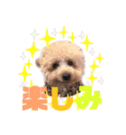 ノア②（個別スタンプ：24）