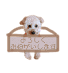 ノア②（個別スタンプ：35）