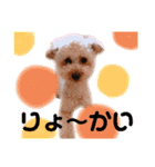 ノア②（個別スタンプ：36）