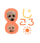 ノア②（個別スタンプ：38）