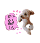 ノア②（個別スタンプ：39）