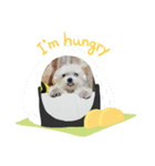 ユキチーズ2（個別スタンプ：3）
