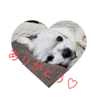 ユキチーズ2（個別スタンプ：6）