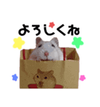 tesshin✩*（個別スタンプ：14）