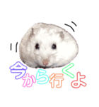 tesshin✩*（個別スタンプ：15）