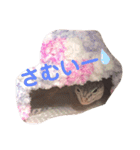 レオパードゲッコーの気持ちスタンプ（個別スタンプ：3）